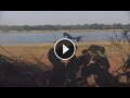 Webcam Lower Zambezi National Park