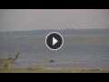 Webcam Lower Zambezi National Park