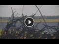 Webcam Lower Zambezi National Park