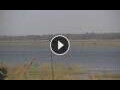 Webcam Lower Zambezi National Park