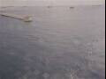 Webcam Costa Diadema