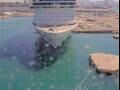 Webcam Costa Diadema