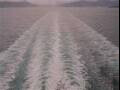 Webcam Costa Diadema