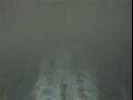 Webcam Costa Diadema