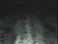 Webcam Costa Diadema