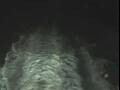 Webcam Costa Diadema