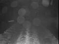 Webcam Costa Fascinosa