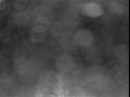 Webcam Costa Fascinosa