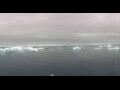 Webcam MS Fridtjof Nansen