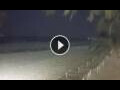 Webcam Kiwengwa (Zanzibar)