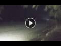 Webcam Kiwengwa (Sansibar)