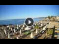 Webcam Stalida (Crete)