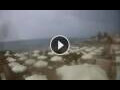Webcam Stalida (Kreta)