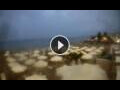 Webcam Stalida (Kreta)