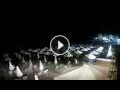 Webcam Stalida (Creta)