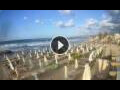 Webcam Stalida (Crete)