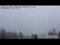Webcam Finkenberg