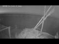 Webcam El Gouna