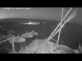 Webcam El Gouna
