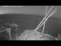 Webcam El Gouna