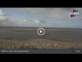 Webcam Borkum