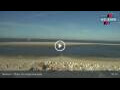 Webcam Borkum