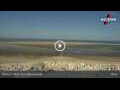 Webcam Borkum