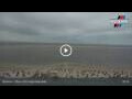Webcam Borkum