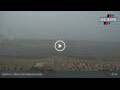 Webcam Borkum