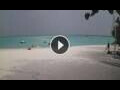 Webcam Isla Dhonakulhi (Atolón Haa Alifu)