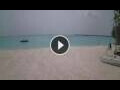 Webcam Isla Dhonakulhi (Atolón Haa Alifu)