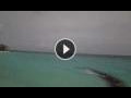 Webcam Eh'mafushi (Atolón sur de Malé)