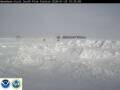 Webcam South Pole