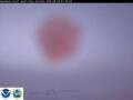 Webcam Südpol