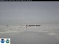 Webcam South Pole