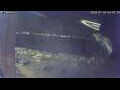 Webcam Sirmione (Lake Garda)