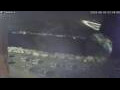 Webcam Sirmione (Lake Garda)