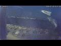 Webcam Sirmione (Lago di Garda)