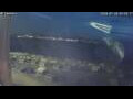 Webcam Sirmione (Lake Garda)