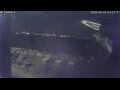 Webcam Sirmione (Lago di Garda)