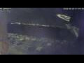 Webcam Sirmione (Lake Garda)