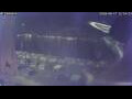 Webcam Sirmione (Gardasee)