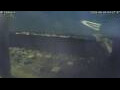 Webcam Sirmione (Lake Garda)