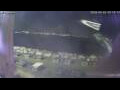Webcam Sirmione (Lago di Garda)
