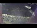 Webcam Sirmione (Lago de Garda)