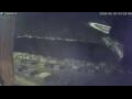 Webcam Sirmione (Gardasee)