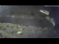 Webcam Sirmione (Lake Garda)