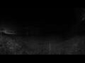 Webcam Darwin