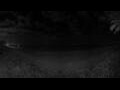 Webcam Darwin