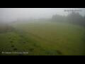 Webcam Princetown